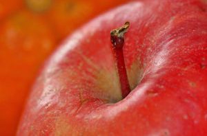 A close-up of a shiny red apple with a brownish stem, against a blurred background of orange fruits.