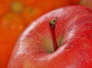 A close-up of a shiny red apple with a brownish stem, against a blurred background of orange fruits.