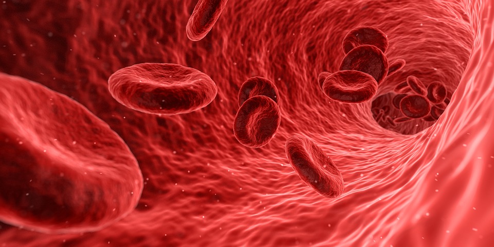 Red blood cells flowing through a blood vessel's interior, with a textured red background representing blood.
